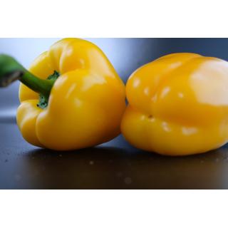 Paprika gelb