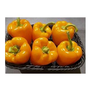 Paprika orange
