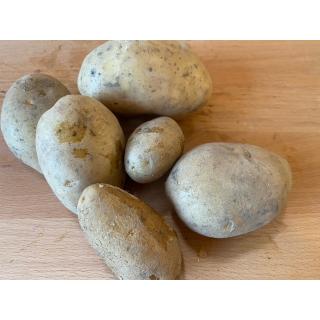 Kartoffeln fest