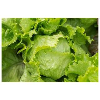 Eissalat