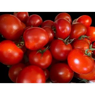 Aroma- Tomaten