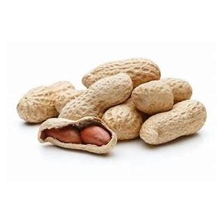 Erdnüsse