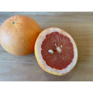 Grapefruit