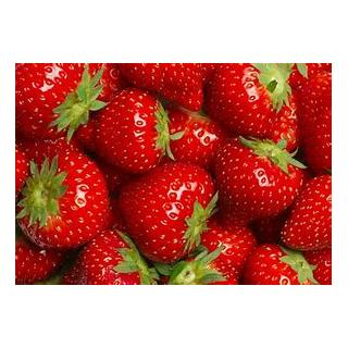 Erdbeeren