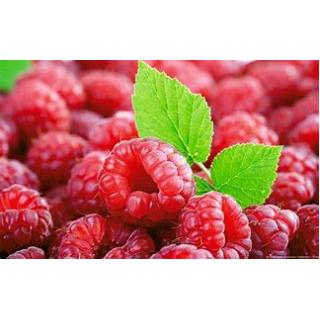 Himbeeren