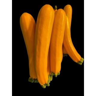 Zucchini gelb