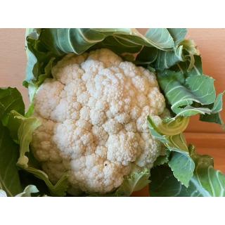 Blumenkohl
