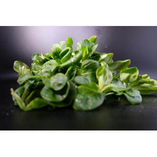 Freilandfeldsalat