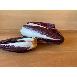 Radicchio